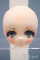 画像: 【新宿マルイアネックス店 店頭販売商品】DDH-01/カスタムヘッド　2100140000015032-ZM