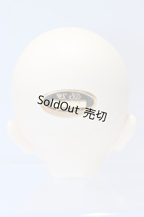 画像4: SD/フルチョイス:F-84ヘッド S-26-01-04-051-GN-ZS (4)