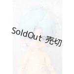画像: SIMONTOYS/ペテルソン学園 S-25-06-08-603-GN-ZS