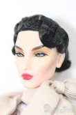 画像2: INTEGRITY TOYS/fashion royalty ELISE S-25-04-27-441-GN-ZS (2)