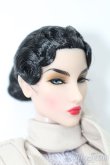 画像3: INTEGRITY TOYS/fashion royalty ELISE S-25-04-27-441-GN-ZS (3)