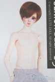 画像1: LUTS/Senior65 Delf BURGUNDY S-25-03-30-423-GN-ZS (1)