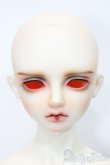 画像2: LUTS/Senior65 Delf BURGUNDY S-25-03-30-423-GN-ZS (2)