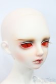 画像4: LUTS/Senior65 Delf BURGUNDY S-25-03-30-423-GN-ZS (4)