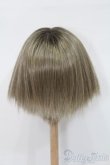 画像2: 9-10inch/ウィッグ S-25-01-12-461-GN-ZS (2)