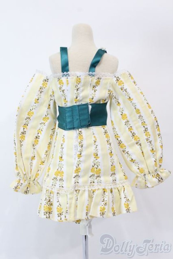 画像3: DD/OF:衣装セット S-25-12-14-578-GN-ZS (3)