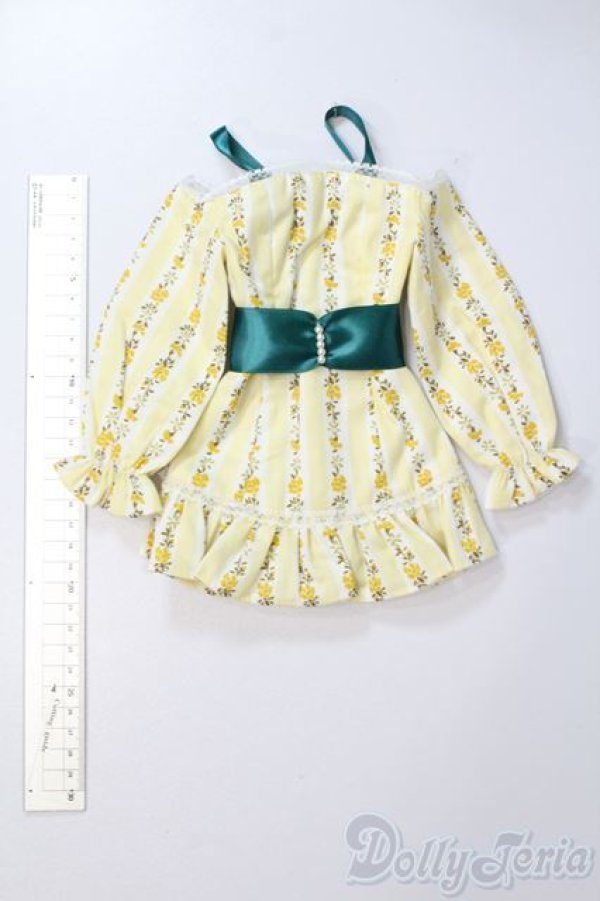 画像5: DD/OF:衣装セット S-25-12-14-578-GN-ZS (5)