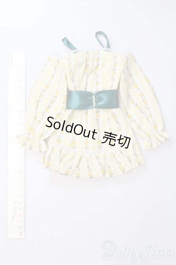 画像5: DD/OF:衣装セット S-25-12-14-578-GN-ZS (5)