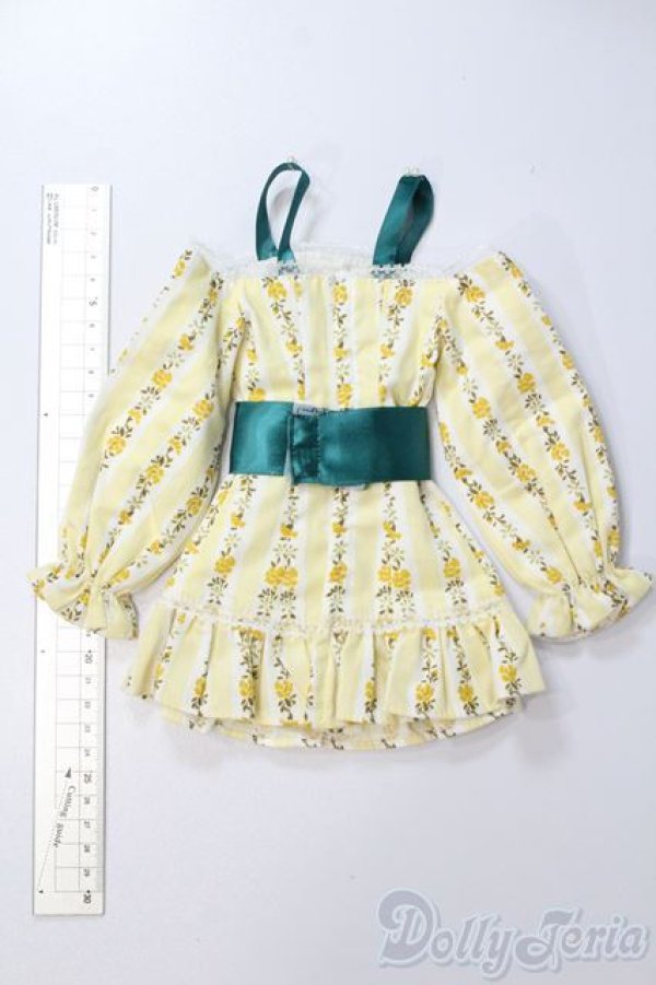 画像6: DD/OF:衣装セット S-25-12-14-578-GN-ZS (6)