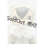 画像: トイズフィールド/KUMA シナモンベージュ S-25-11-02-015-GN-ZS