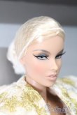 画像3: IntegrityToys/FASHION ROYALTY VANESSA S-25-02-18-329-GN-ZS (3)