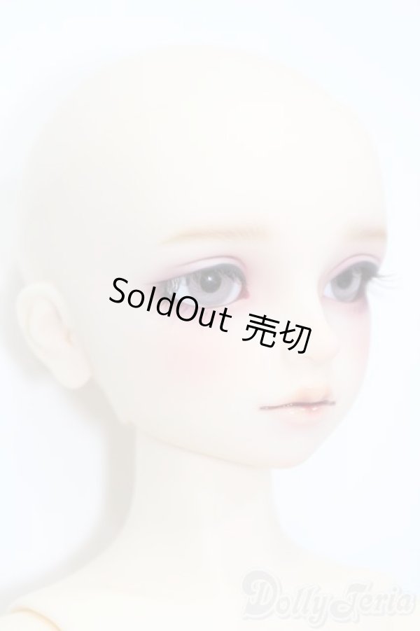 画像4: SDM/ギルバート 星間学寮ver. S-25-09-28-405-GN-ZS (4)