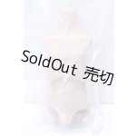画像: MDD/kakusodoll製ボーイボディーセット S-25-12-28-060-GN-ZS