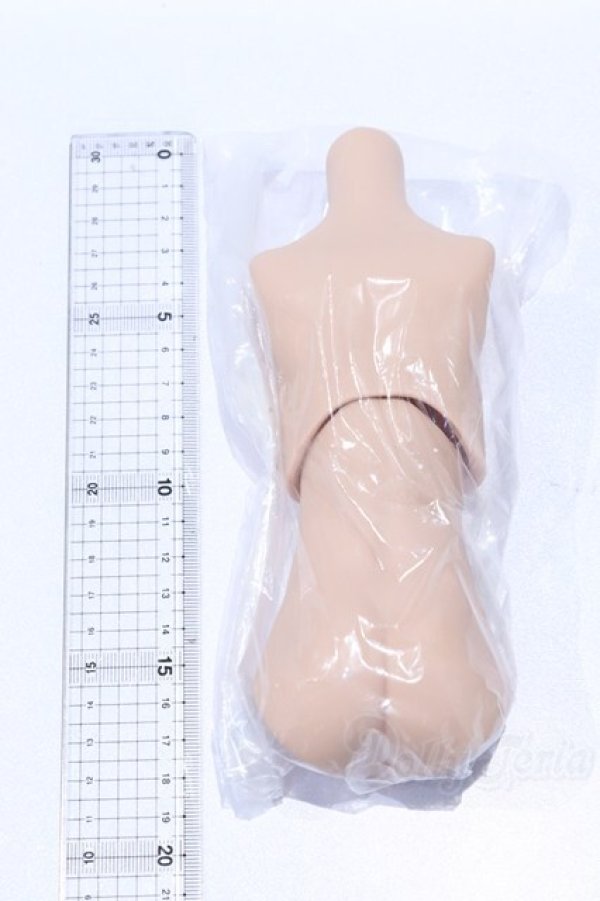 画像2: MDD/kakusodoll製ボーイボディーセット S-25-12-28-060-GN-ZS (2)