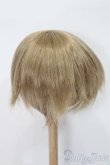 画像2: 9-10inch/ウィッグ S-25-04-13-377-NH-ZS (2)