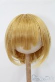 画像1: 9-10inch/ウィッグ S-25-03-23-355-NH-ZS (1)