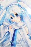 画像1: DD/雪ミク S-25-04-20-578-GN-ZS (1)