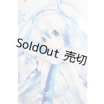 画像: DD/雪ミク S-25-06-22-576-GN-ZS