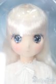 画像1: azone/からふるDreamin’ メアリー in Wonderland S-25-04-13-525-GN-ZS (1)