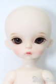 画像1: SOOM/iMda1.7 Jane S-25-02-23-376-GN-ZS (1)