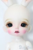 画像1: tokissi/Follow the white rabbit S-25-04-20-519-GN-ZS (1)