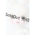 画像: tokissi/Follow the white rabbit S-25-06-08-723-GN-ZS