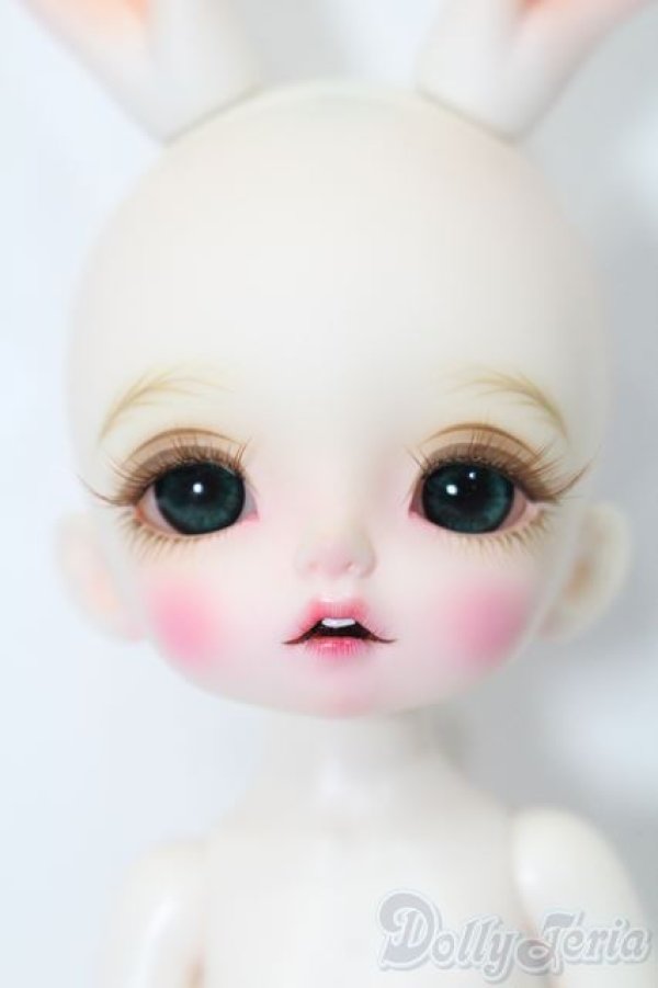 画像1: tokissi/Follow the white rabbit S-25-04-20-519-GN-ZS (1)