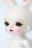 画像2: tokissi/Follow the white rabbit S-25-04-20-519-GN-ZS (2)