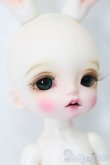 画像3: tokissi/Follow the white rabbit S-25-04-20-519-GN-ZS (3)