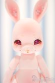 画像1: 【新宿マルイアネックス店 店頭販売商品】cocoriang/tobi 2100140000017395-ZM (1)