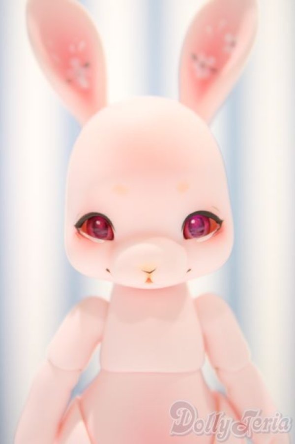 画像1: 【新宿マルイアネックス店 店頭販売商品】cocoriang/tobi 2100140000017395-ZM (1)