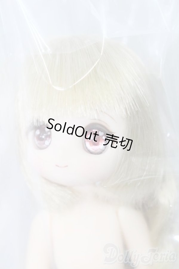 画像3: SugarCups/ビスケティーナ Welcome to Sugar Cup Wonderland! S-24-11-24-154-GN-ZS (3)