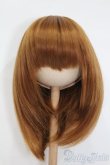 画像1: 8-9inch/ウィッグ S-25-02-23-460-GN-ZS (1)