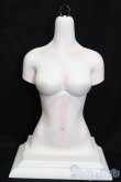 画像1: DREAMING DOLL　ElvaGirls　Torso S-25-05-04-667-NH-ZS (1)