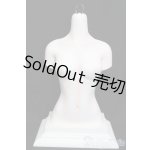 画像: DREAMING DOLL　ElvaGirls　Torso S-25-07-06-765-NH-ZS