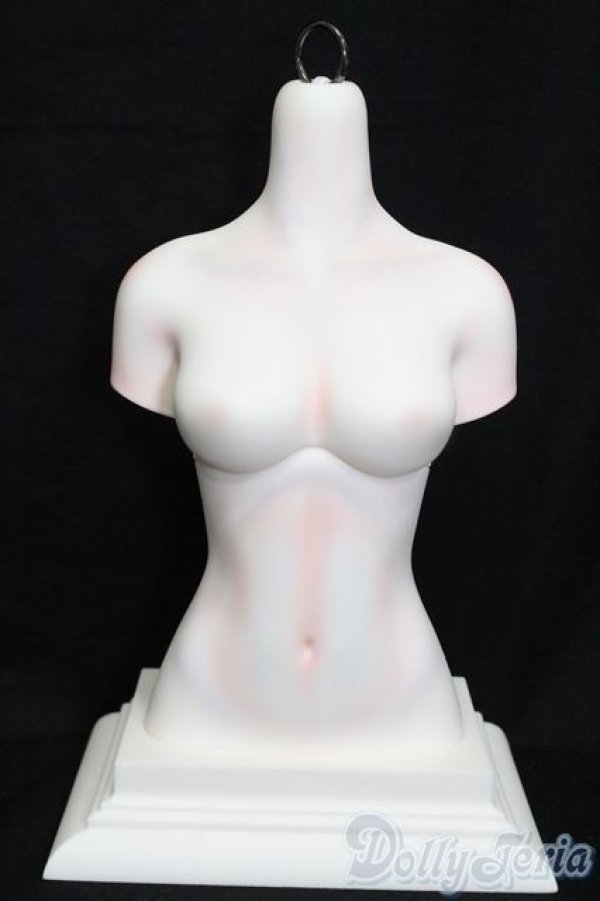 画像1: DREAMING DOLL　ElvaGirls　Torso S-25-05-04-667-NH-ZS (1)