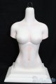 画像: DREAMING DOLL　ElvaGirls　Torso S-25-05-04-667-NH-ZS