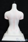 画像2: DREAMING DOLL　ElvaGirls　Torso S-25-05-04-667-NH-ZS (2)