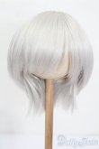画像1: 8-9inch/ウィッグ S-25-05-04-246-NH-ZS (1)