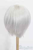 画像2: 8-9inch/ウィッグ S-25-05-04-246-NH-ZS (2)