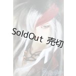 画像: SD17男の子/レイズナー〜The Shadow of Captain II〜 S-24-12-15-070-GN-ZS