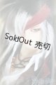画像: SD17男の子/レイズナー〜The Shadow of Captain II〜 S-24-12-15-070-GN-ZS