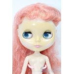 画像: ネオブライス/デインティビスケット S-25-03-23-406-GN-ZS