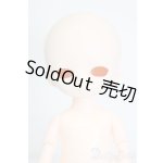 画像: PARABOX/Mボックル S-25-08-24-568-NH-ZS