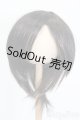 画像: 9-10inch/ウィッグ S-25-04-13-391-GN-ZS