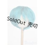 画像: 9-10inch/ウィッグ S-25-03-04-334-NH-ZS