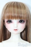 画像1: SD/フルチョイス:F-98 S-25-03-16-491-GN-ZS (1)