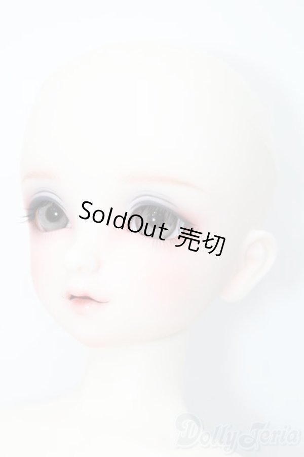 画像3: SD/フルチョイス:F-98 S-25-03-16-491-GN-ZS (3)