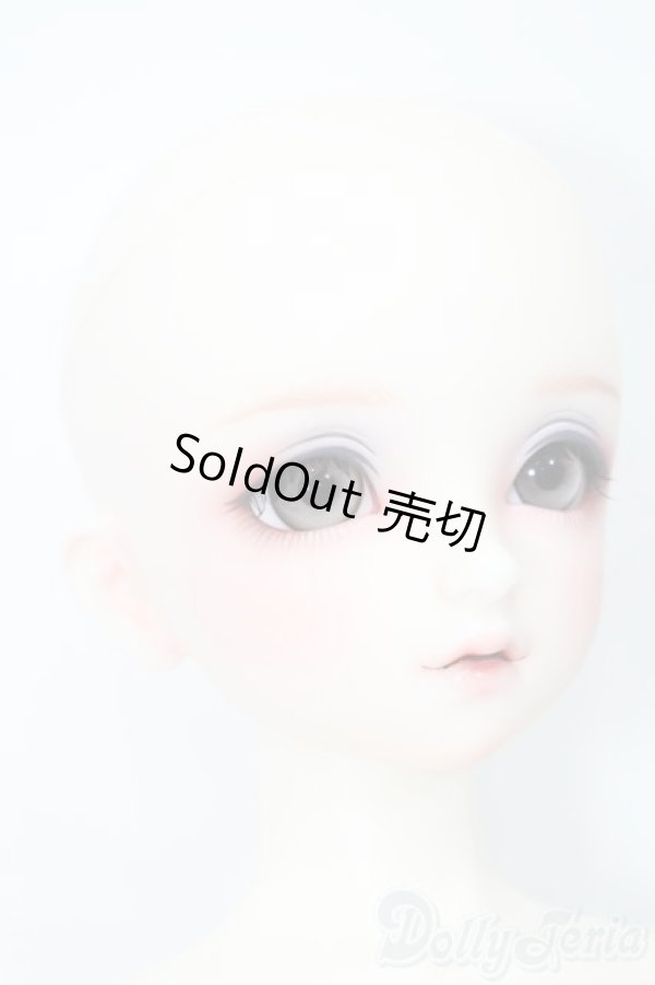 画像4: SD/フルチョイス:F-98 S-25-03-16-491-GN-ZS (4)