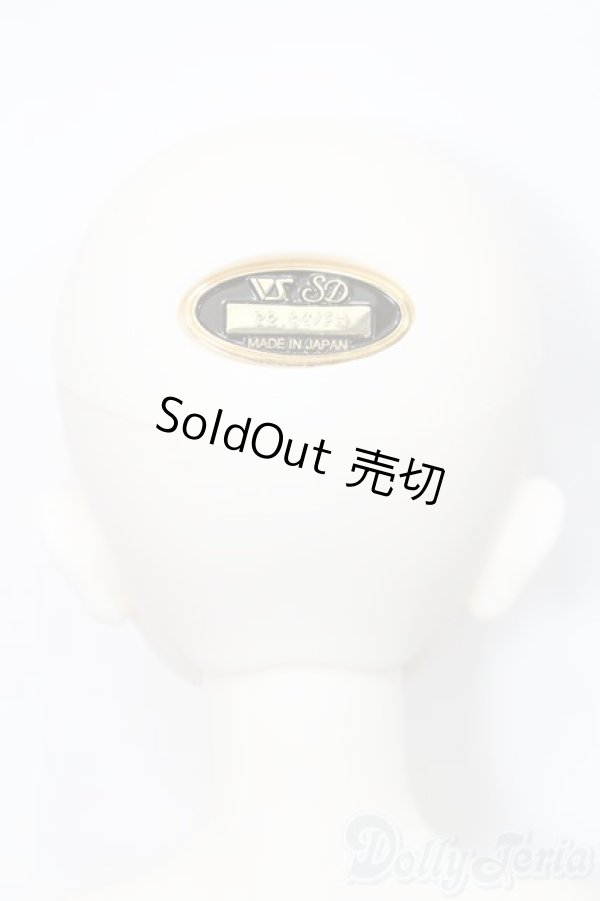 画像5: SD/フルチョイス:F-98 S-25-03-16-491-GN-ZS (5)